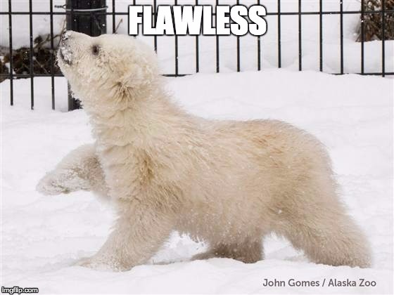 image tagged in polar bear | made w/ Imgflip meme maker