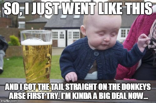Drunk Baby Meme | SO, I JUST WENT LIKE THIS AND I GOT THE TAIL STRAIGHT ON THE DONKEYS ARSE FIRST TRY. I'M KINDA A BIG DEAL NOW... | image tagged in memes,drunk baby | made w/ Imgflip meme maker