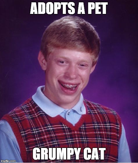 Bad Luck Brian | ADOPTS A PET GRUMPY CAT | image tagged in memes,bad luck brian | made w/ Imgflip meme maker