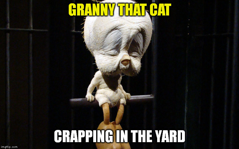 GRANNY THAT CAT CRAPPING IN THE YARD | made w/ Imgflip meme maker