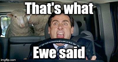 Steve Carrell Sheep | That's what Ewe said | image tagged in steve carrell sheep | made w/ Imgflip meme maker