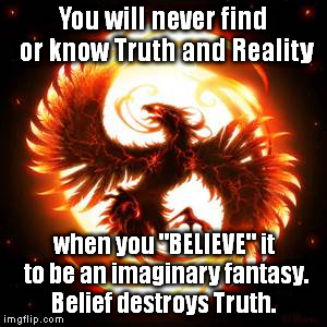 phoenix bird | You will never find or know Truth and Reality when you "BELIEVE" it to be an imaginary fantasy. Belief destroys Truth. | image tagged in phoenix bird | made w/ Imgflip meme maker