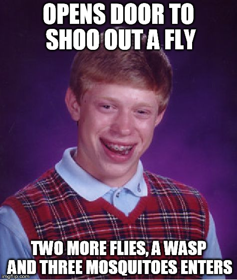 Save The Animals | OPENS DOOR TO SHOO OUT A FLY TWO MORE FLIES, A WASP AND THREE MOSQUITOES ENTERS | image tagged in memes,bad luck brian,australia,insects,summer | made w/ Imgflip meme maker
