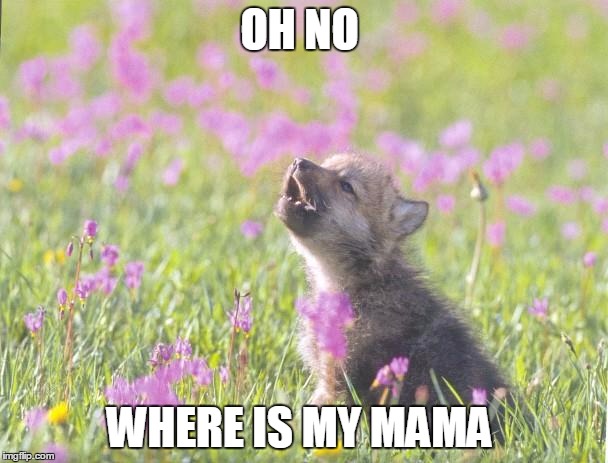 Baby Insanity Wolf | OH NO WHERE IS MY MAMA | image tagged in memes,baby insanity wolf | made w/ Imgflip meme maker