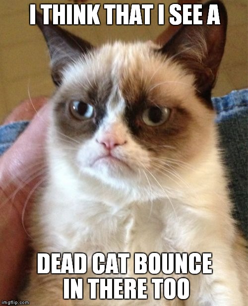 Grumpy Cat Meme | I THINK THAT I SEE A DEAD CAT BOUNCE IN THERE TOO | image tagged in memes,grumpy cat | made w/ Imgflip meme maker