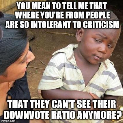 Third World Skeptical Kid Meme | YOU MEAN TO TELL ME THAT WHERE YOU'RE FROM PEOPLE ARE SO INTOLERANT TO CRITICISM THAT THEY CAN'T SEE THEIR DOWNVOTE RATIO ANYMORE? | image tagged in memes,third world skeptical kid | made w/ Imgflip meme maker