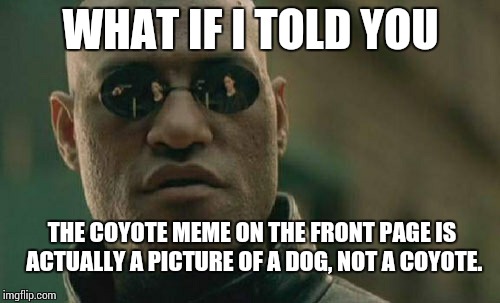 Matrix Morpheus Meme | WHAT IF I TOLD YOU THE COYOTE MEME ON THE FRONT PAGE IS ACTUALLY A PICTURE OF A DOG, NOT A COYOTE. | image tagged in memes,matrix morpheus | made w/ Imgflip meme maker