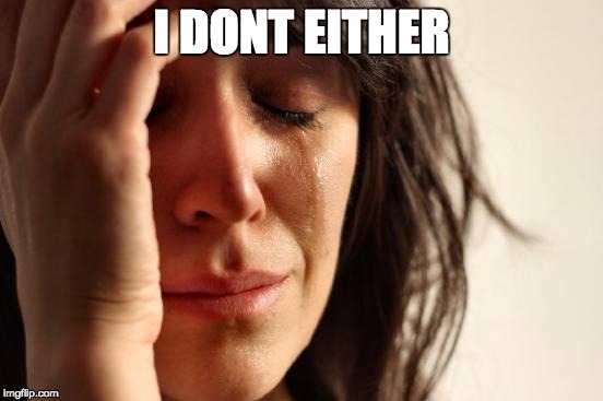 First World Problems Meme | I DONT EITHER | image tagged in memes,first world problems | made w/ Imgflip meme maker