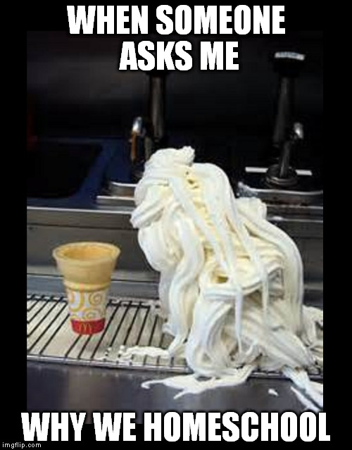 Don't ask if you don't want to know :-D  | WHEN SOMEONE ASKS ME WHY WE HOMESCHOOL | image tagged in ice cream win,homeschool | made w/ Imgflip meme maker