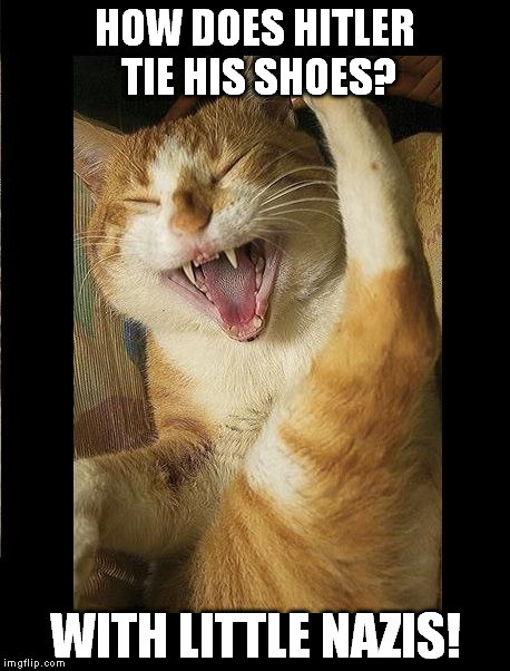 That's just funny. | HOW DOES HITLER TIE HIS SHOES? WITH LITTLE NAZIS! | image tagged in laughing cat,hitler,nazi | made w/ Imgflip meme maker