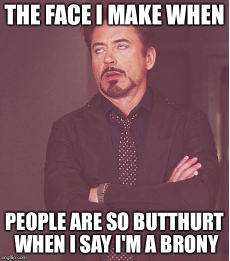 Face You Make Robert Downey Jr Meme | THE FACE I MAKE WHEN PEOPLE ARE SO BUTTHURT WHEN I SAY I'M A BRONY | image tagged in memes,face you make robert downey jr | made w/ Imgflip meme maker