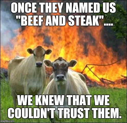 Evil Cows | ONCE THEY NAMED US "BEEF AND STEAK".... WE KNEW THAT WE COULDN'T TRUST THEM. | image tagged in memes,evil cows | made w/ Imgflip meme maker
