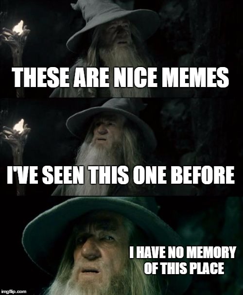 Confused Gandalf Meme | THESE ARE NICE MEMES I'VE SEEN THIS ONE BEFORE I HAVE NO MEMORY OF THIS PLACE | image tagged in memes,confused gandalf | made w/ Imgflip meme maker