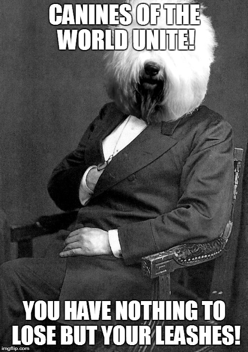 Karl Barx - Unite! | CANINES OF THE WORLD UNITE! YOU HAVE NOTHING TO LOSE BUT YOUR LEASHES! | image tagged in karl barx,karl marx | made w/ Imgflip meme maker