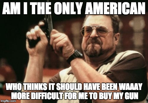 Am I The Only One Around Here Meme | AM I THE ONLY AMERICAN WHO THINKS IT SHOULD HAVE BEEN WAAAY MORE DIFFICULT FOR ME TO BUY MY GUN | image tagged in memes,am i the only one around here | made w/ Imgflip meme maker