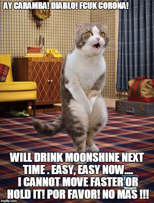 Gotta Go Cat Meme | AY CARAMBA! DIABLO! FCUK CORONA! WILL DRINK MOONSHINE NEXT TIME . EASY, EASY NOW.... I CANNOT MOVE FASTER OR HOLD IT! POR FAVOR! NO MAS !!! | image tagged in memes,gotta go cat | made w/ Imgflip meme maker