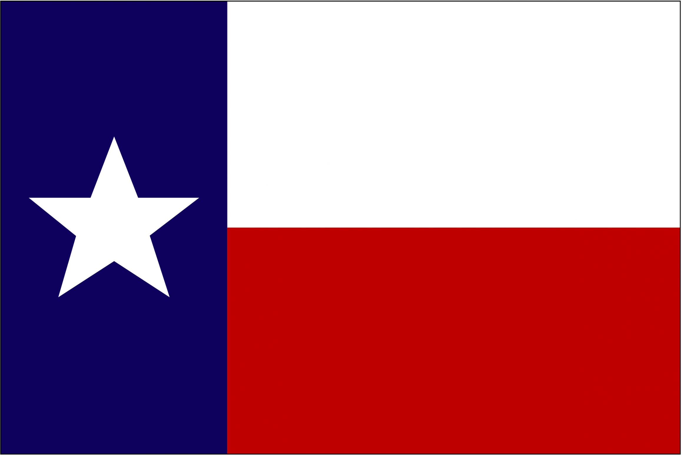Texas flag refugees welcome Blank Meme Template