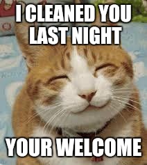 Happy cat | I CLEANED YOU LAST NIGHT YOUR WELCOME | image tagged in happy cat | made w/ Imgflip meme maker