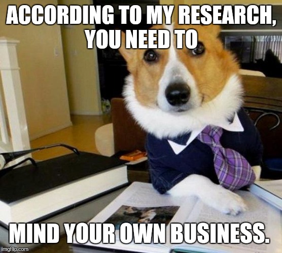 Lawyer Dog | ACCORDING TO MY RESEARCH, YOU NEED TO MIND YOUR OWN BUSINESS. | image tagged in lawyer dog | made w/ Imgflip meme maker