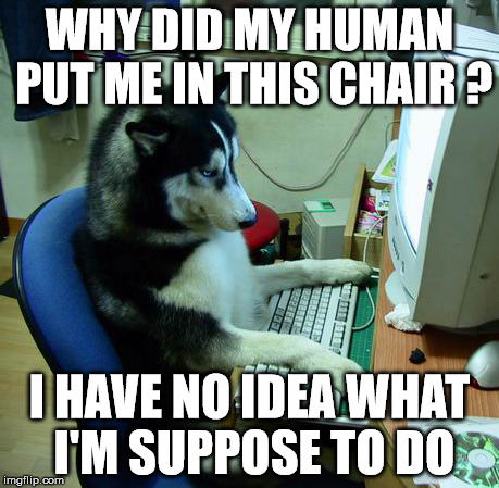 I Have No Idea What I Am Doing Meme | WHY DID MY HUMAN PUT ME IN THIS CHAIR ? I HAVE NO IDEA WHAT I'M SUPPOSE TO DO | image tagged in memes,i have no idea what i am doing | made w/ Imgflip meme maker