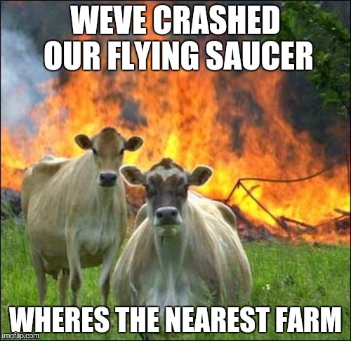 Evil Cows Meme | WEVE CRASHED OUR FLYING SAUCER WHERES THE NEAREST FARM | image tagged in memes,evil cows | made w/ Imgflip meme maker