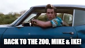 ace ventura | BACK TO THE ZOO, MIKE & IKE! | image tagged in ace ventura | made w/ Imgflip meme maker