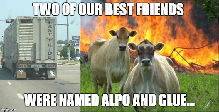 Evil Cow Revenge | TWO OF OUR BEST FRIENDS WERE NAMED ALPO AND GLUE... | image tagged in evil cow revenge | made w/ Imgflip meme maker