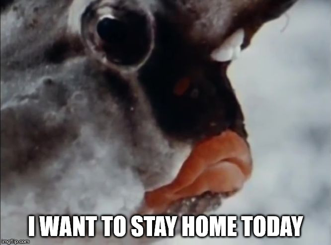 batfish | I WANT TO STAY HOME TODAY | image tagged in melancholy batfish | made w/ Imgflip meme maker