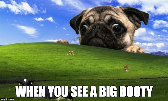 Pug Windows hill | WHEN YOU SEE A BIG BOOTY | image tagged in pug windows hill | made w/ Imgflip meme maker