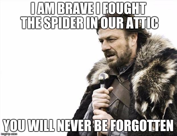 Brace Yourselves X is Coming | I AM BRAVE I FOUGHT THE SPIDER IN OUR ATTIC YOU WILL NEVER BE FORGOTTEN | image tagged in memes,brace yourselves x is coming | made w/ Imgflip meme maker
