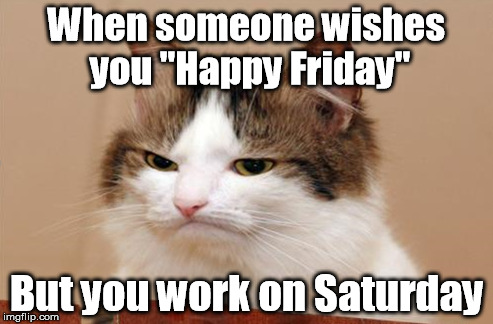 When someone wishes you "Happy Friday" But you work on Saturday | image tagged in friday,work,disappointed,cat | made w/ Imgflip meme maker