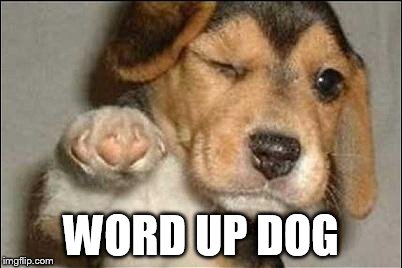 good job dog | WORD UP DOG | image tagged in good job dog | made w/ Imgflip meme maker