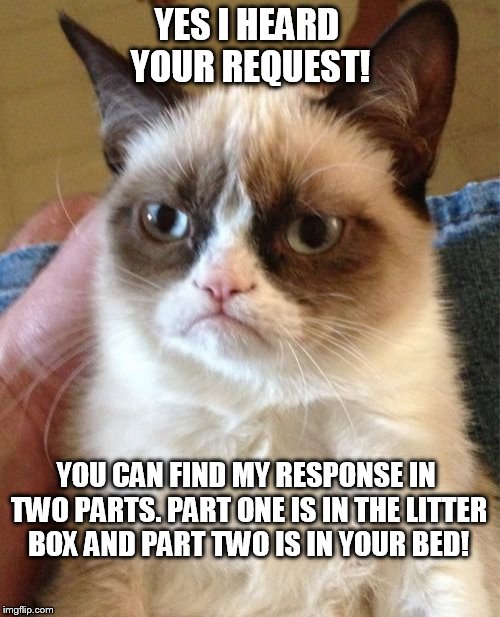 Grumpy Cat | YES I HEARD YOUR REQUEST! YOU CAN FIND MY RESPONSE IN TWO PARTS. PART ONE IS IN THE LITTER BOX AND PART TWO IS IN YOUR BED! | image tagged in memes,grumpy cat | made w/ Imgflip meme maker