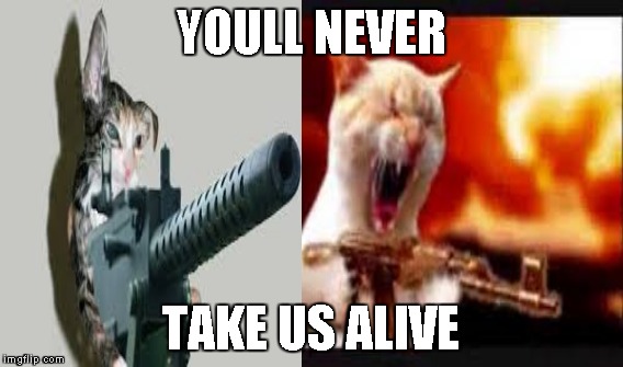 YOULL NEVER TAKE US ALIVE | made w/ Imgflip meme maker