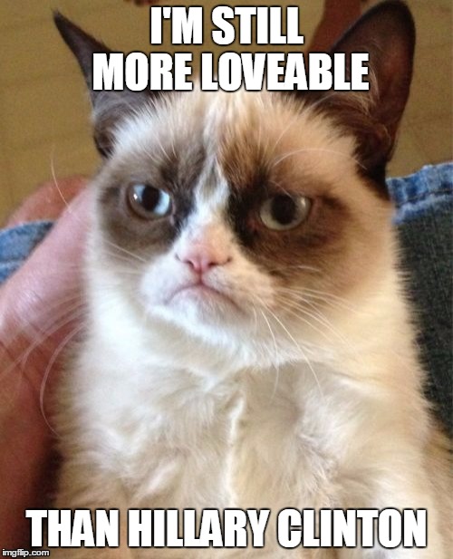 Grumpy Cat | I'M STILL MORE LOVEABLE THAN HILLARY CLINTON | image tagged in memes,grumpy cat,hillary clinton,hillary | made w/ Imgflip meme maker