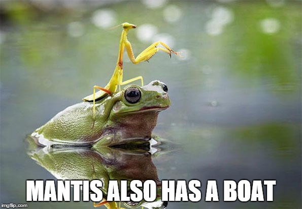 MANTIS ALSO HAS A BOAT | made w/ Imgflip meme maker