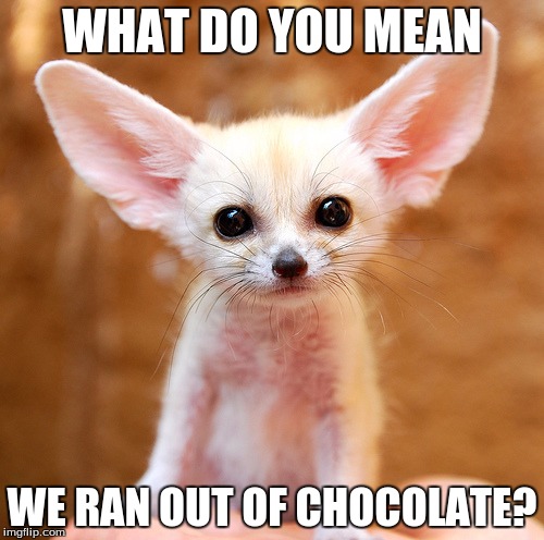 WHAT DO YOU MEAN WE RAN OUT OF CHOCOLATE? | image tagged in squeaky | made w/ Imgflip meme maker
