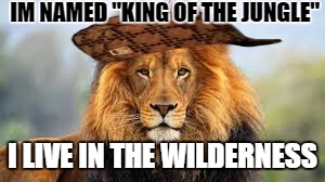IM NAMED "KING OF THE JUNGLE" I LIVE IN THE WILDERNESS | image tagged in lion,scumbag,scumbag hat,owned,animals | made w/ Imgflip meme maker