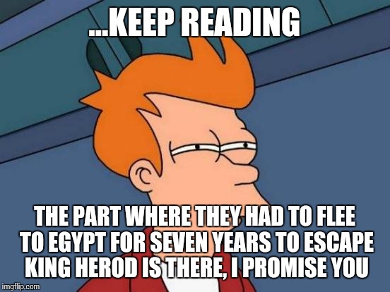 Futurama Fry Meme | ...KEEP READING THE PART WHERE THEY HAD TO FLEE TO EGYPT FOR SEVEN YEARS TO ESCAPE KING HEROD IS THERE, I PROMISE YOU | image tagged in memes,futurama fry | made w/ Imgflip meme maker