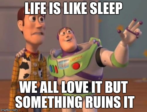 X, X Everywhere | LIFE IS LIKE SLEEP WE ALL LOVE IT BUT SOMETHING RUINS IT | image tagged in memes,x x everywhere | made w/ Imgflip meme maker