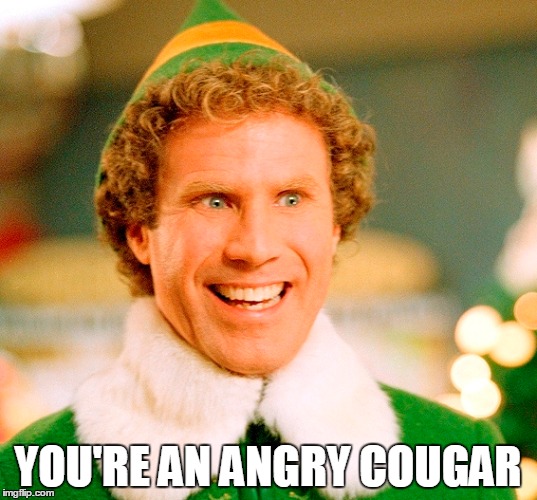 YOU'RE AN ANGRY COUGAR | image tagged in buddy the elf,cougar | made w/ Imgflip meme maker