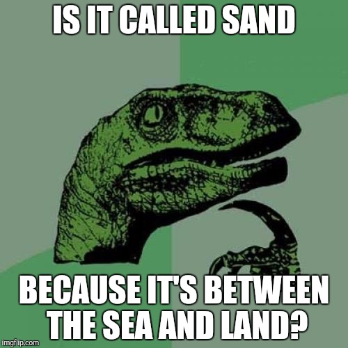 Philosoraptor Meme | IS IT CALLED SAND BECAUSE IT'S BETWEEN THE SEA AND LAND? | image tagged in memes,philosoraptor | made w/ Imgflip meme maker