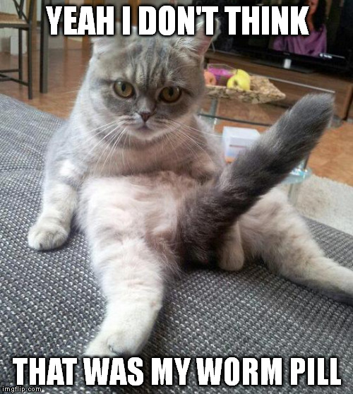 YEAH I DON'T THINK THAT WAS MY WORM PILL | made w/ Imgflip meme maker