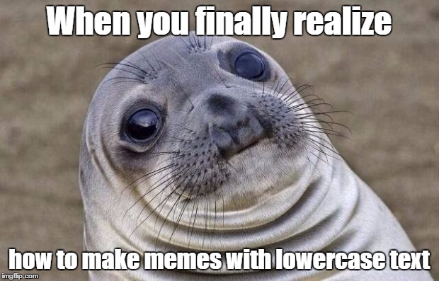 Awkward Moment Sealion | When you finally realize how to make memes with lowercase text | image tagged in memes,awkward moment sealion | made w/ Imgflip meme maker