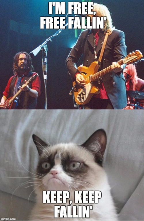 Grumpy Cat's reaction to the song free fallin' | I'M FREE, FREE FALLIN' KEEP, KEEP FALLIN' | image tagged in free fallin' grumpy cat | made w/ Imgflip meme maker