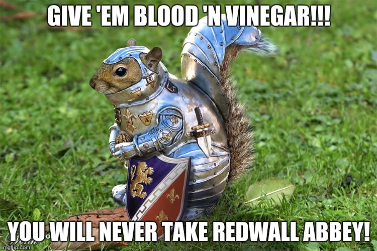 Redwall Blood 'n Vinegar | GIVE 'EM BLOOD 'N VINEGAR!!! YOU WILL NEVER TAKE REDWALL ABBEY! | image tagged in redwall squirrel meme 1,redwall,meme,funny | made w/ Imgflip meme maker