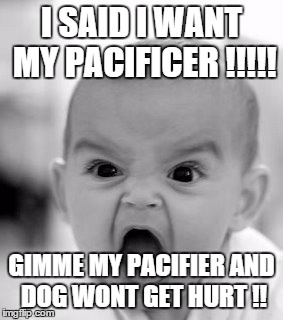 Angry Baby | I SAID I WANT MY PACIFICER !!!!! GIMME MY PACIFIER AND DOG WONT GET HURT !! | image tagged in memes,angry baby | made w/ Imgflip meme maker