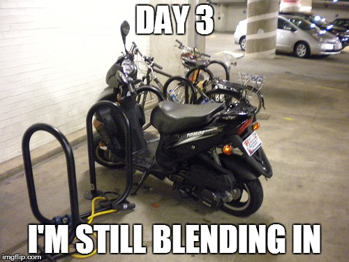 Blending In | DAY 3 I'M STILL BLENDING IN | image tagged in blending in,scooter,camouflage,funny meme,failing meme | made w/ Imgflip meme maker