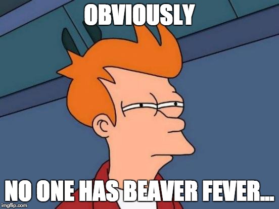 Futurama Fry Meme | OBVIOUSLY NO ONE HAS BEAVER FEVER... | image tagged in memes,futurama fry | made w/ Imgflip meme maker