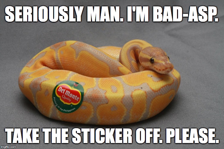 Bad-ass or Bad-asp | SERIOUSLY MAN. I'M BAD-ASP. TAKE THE STICKER OFF. PLEASE. | image tagged in snake,delmonte,asp | made w/ Imgflip meme maker
